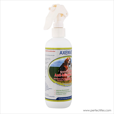 Disinfectant (250ml) 